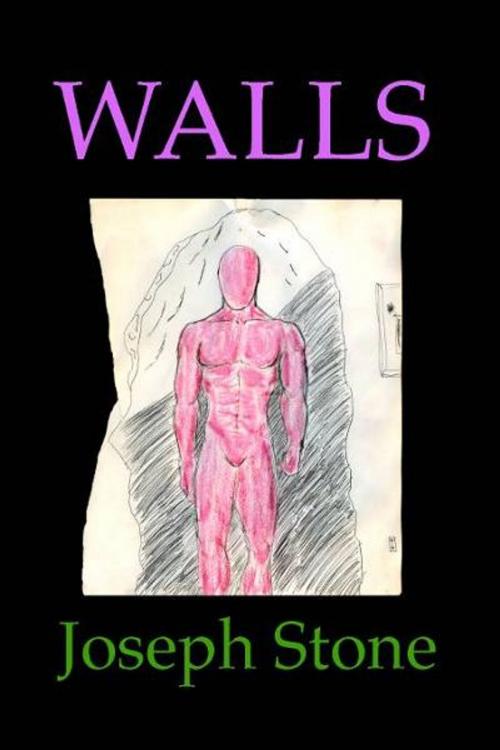 Cover of the book WALLS by Joseph Stone, Independent Publisher
