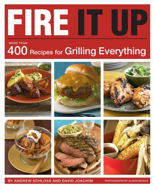 Cover of the book Fire It Up by David Joachim, Andrew Schloss, Chronicle Books LLC