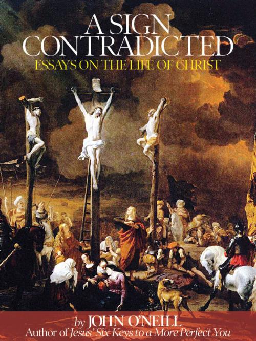 Cover of the book A Sign Contradicted: Essays on the Life of Christ by John O'Neill, John O'Neill