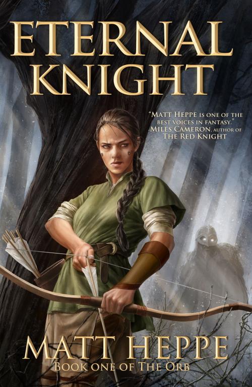 Cover of the book Eternal Knight by Matt Heppe, Matt Heppe