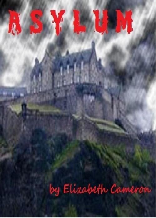 Cover of the book Asylum by Elizabeth Cameron, Elizabeth Cameron