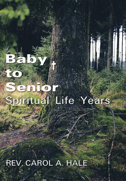 Cover of the book Baby to Senior Spiritual Life Years by Rev. Carol A. Hale, AuthorHouse