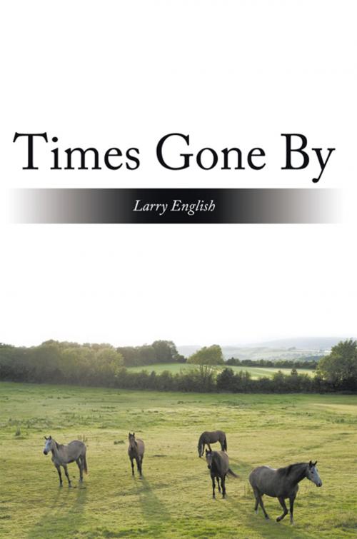 Cover of the book Times Gone By by Larry English, AuthorHouse