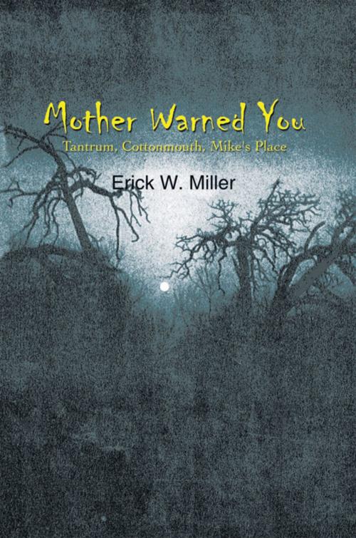 Cover of the book Mother Warned You by Erick W. Miller, AuthorHouse