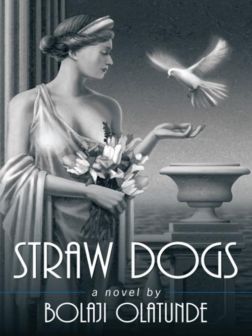 Cover of the book Straw Dogs by Bolaji Olatunde, AuthorHouse UK