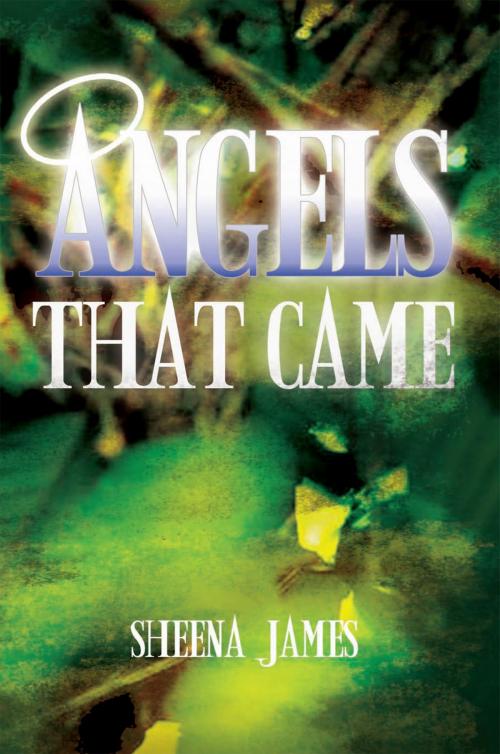 Cover of the book Angels That Came by Sheena James, Xlibris US