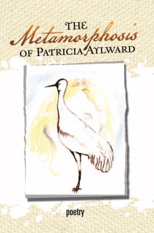 Cover of the book The Metamorphosis of Patricia Aylward by Patricia Aylward, Xlibris US