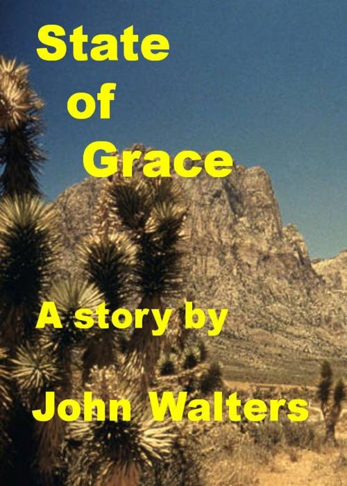 Cover of the book State of Grace by John Walters, John Walters