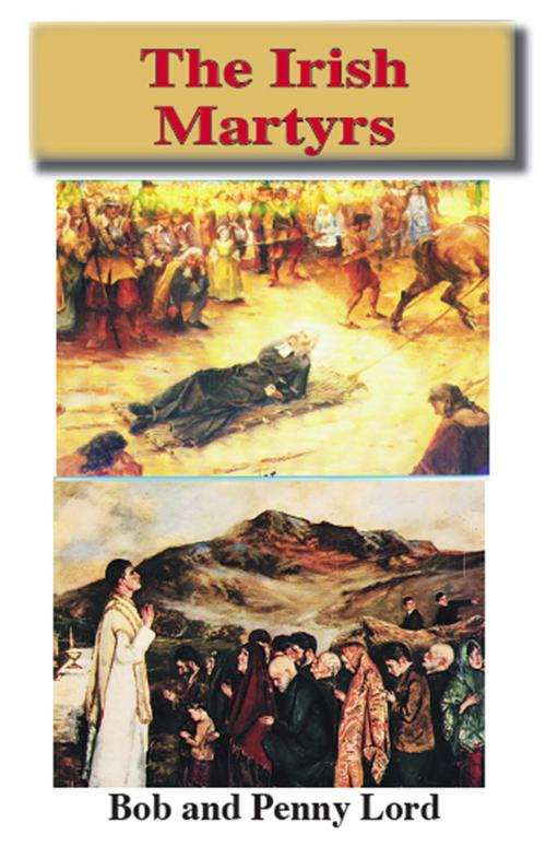 Cover of the book The Irish Martyrs by Penny Lord, Bob Lord, Journeys of Faith