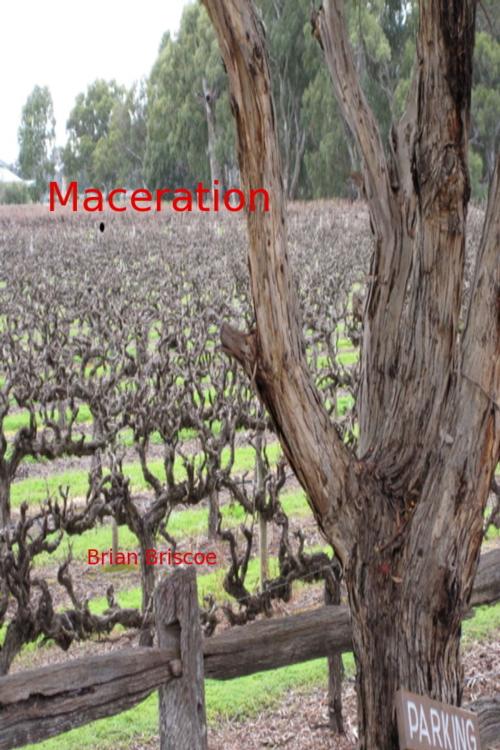 Cover of the book Maceration by Brian Briscoe, Brian Briscoe