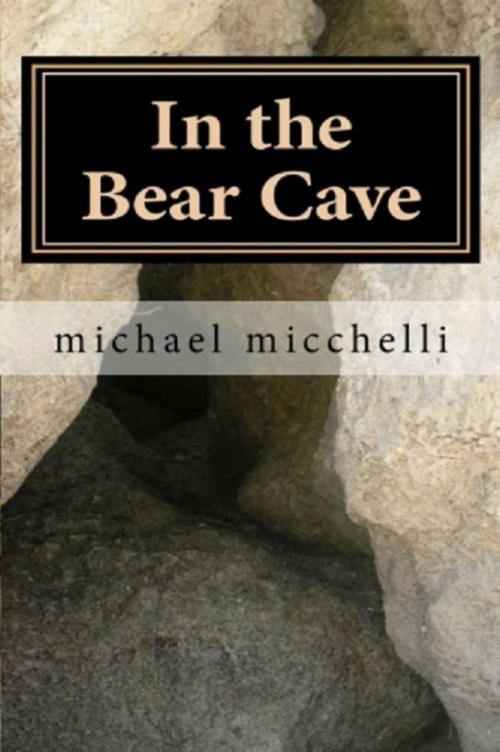 Cover of the book In the Bear Cave by Michael Micchelli, Michael Micchelli
