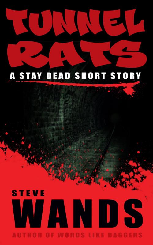 Cover of the book Tunnel Rats by Steve Wands, Steve Wands