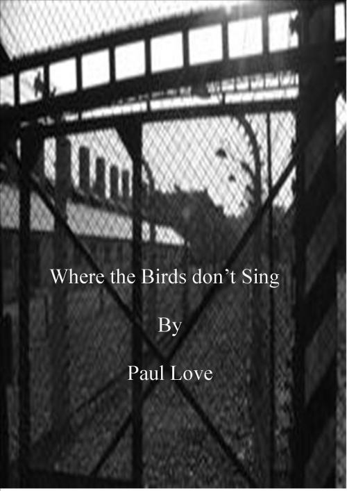 Cover of the book Where the Birds don't Sing by Paul Love, Paul Love
