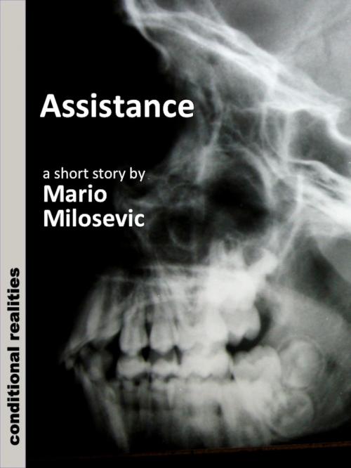 Cover of the book Assistance by Mario Milosevic, Green Snake Publishing
