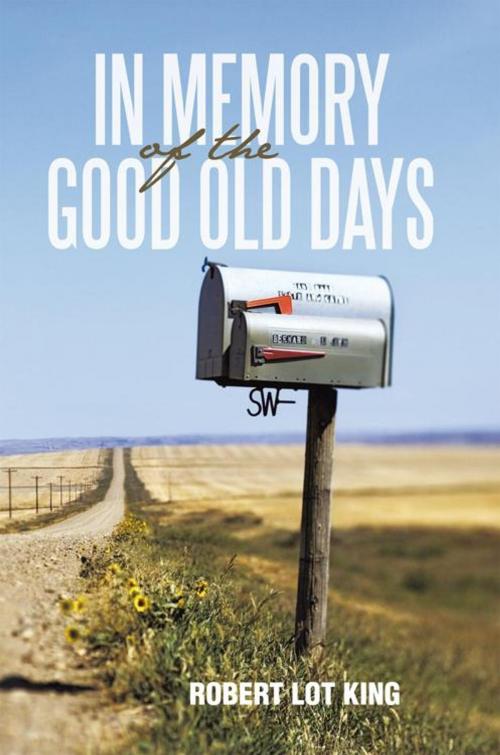 Cover of the book In Memory of the Good Old Days by Robert Lot King, iUniverse