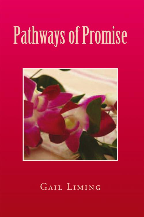 Cover of the book Pathways of Promise by Gail Liming, Xlibris US