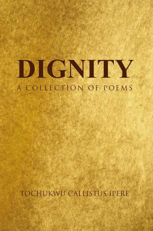 Cover of the book Dignity by Tochukwu Callistus Ipere, Xlibris UK