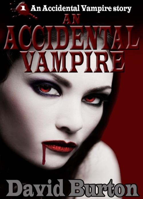 Cover of the book An Accidental Vampire by David Burton, David Burton