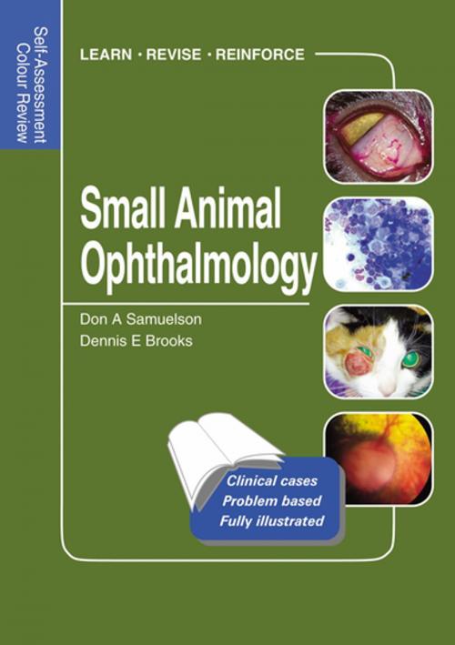 Cover of the book Small Animal Ophthalmology by Don Samuelson, Dennis Brooks, CRC Press