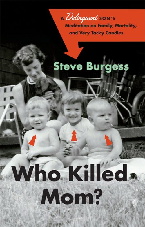 Cover of the book Who Killed Mom? by Steve Burgess, Greystone Books Ltd.