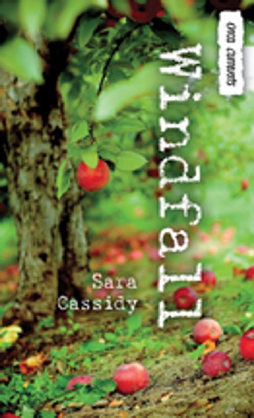 Cover of the book Windfall by Sara Cassidy, Orca Book Publishers