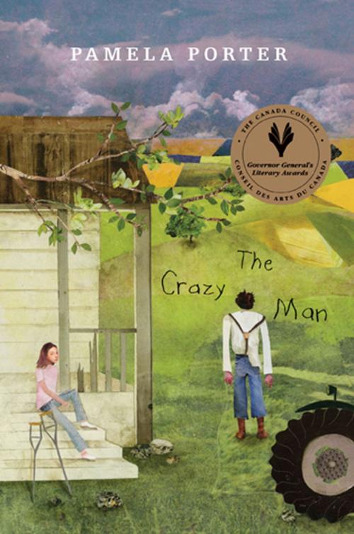 Cover of the book The Crazy Man by Pamela Porter, Groundwood Books Ltd