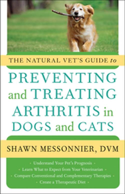 Cover of the book The Natural Vet's Guide to Preventing and Treating Arthritis in Dogs and Cats by Shawn Messonnier, DVM, New World Library
