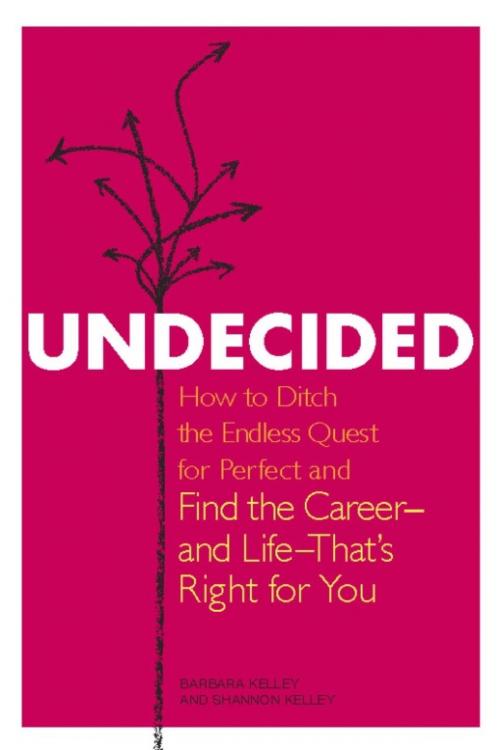 Cover of the book Undecided by Barbara Kelley, Shannon Kelley, Basic Books