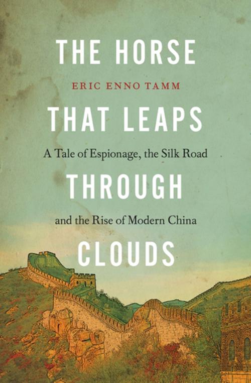 Cover of the book The Horse that Leaps Through Clouds by Eric Enno Tamm, Counterpoint Press