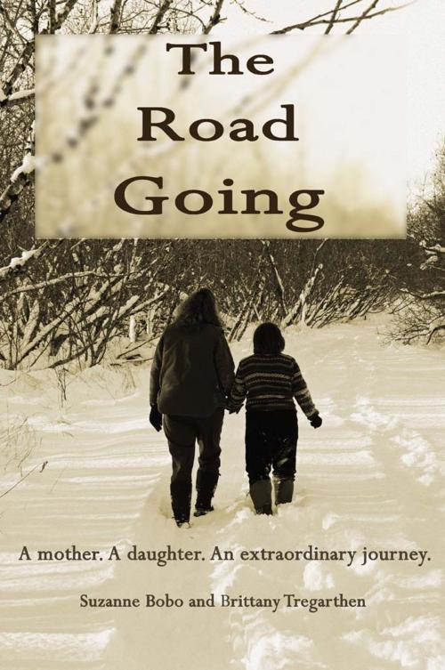 Cover of the book The Road Going by Suzanne Bobo, Publication Consultants
