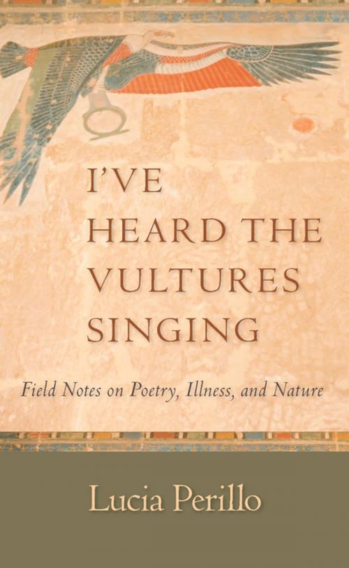 Cover of the book I've Heard the Vultures Singing by Lucia Perillo, Trinity University Press