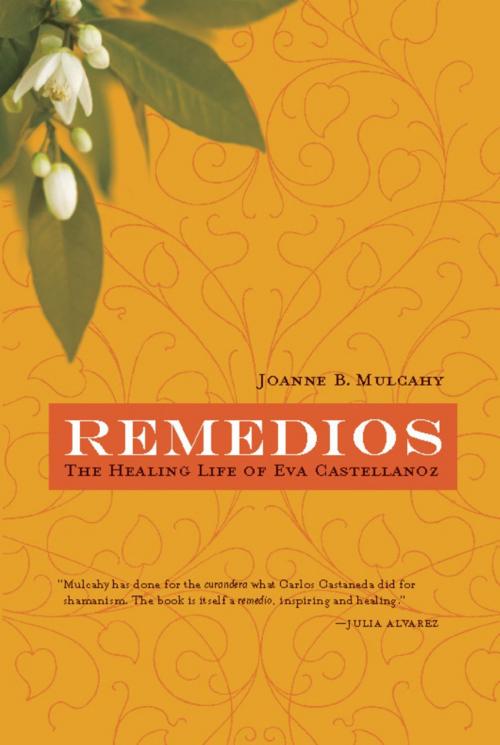 Cover of the book Remedios by Joanne B. Mulcahy, Trinity University Press