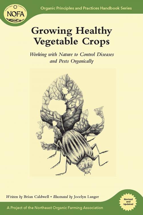 Cover of the book Growing Healthy Vegetable Crops by Brian Caldwell, Chelsea Green Publishing