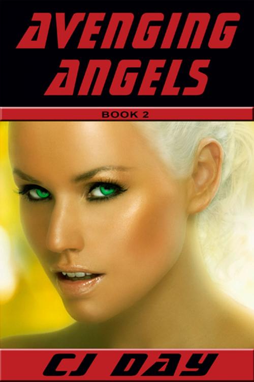 Cover of the book Avenging Angel: Book 2 in the Avenging Angel Series by CJ Day, CJ Day