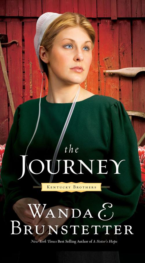 Cover of the book The Journey by Wanda E. Brunstetter, Barbour Publishing, Inc.