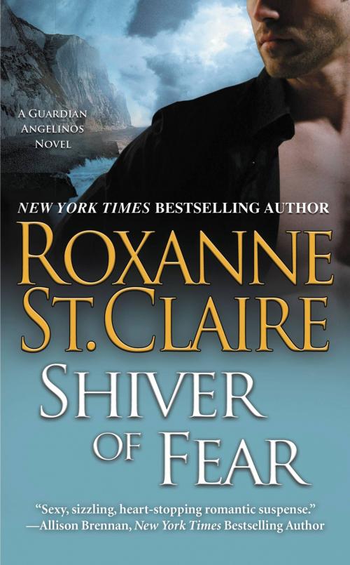 Cover of the book Shiver of Fear by Roxanne St. Claire, Grand Central Publishing