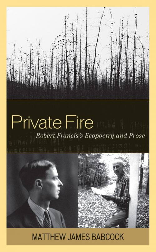 Cover of the book Private Fire by Matthew James Babcock, University of Delaware Press