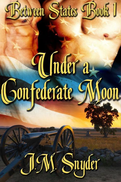 Cover of the book Under a Confederate Moon by J.M. Snyder, JMS Books LLC