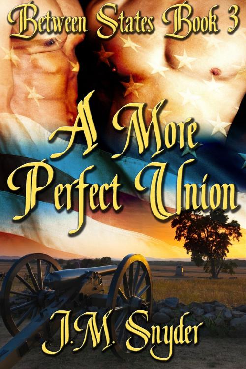 Cover of the book A More Perfect Union by J.M. Snyder, JMS Books LLC