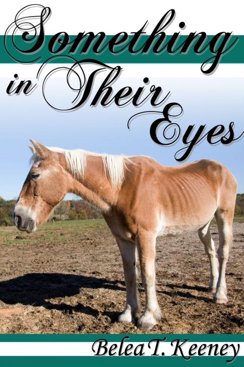 Cover of the book Something in Their Eyes by Belea T. Keeney, JMS Books LLC