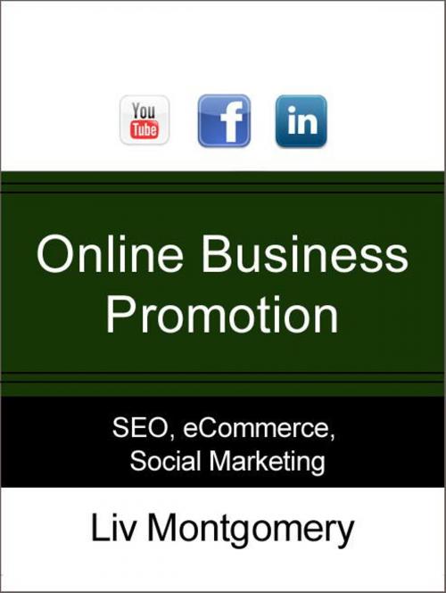 Cover of the book Online Business Promotion: eCommerce Business Tutorial for Successful Websites by Liv Montgomery, AudioInk