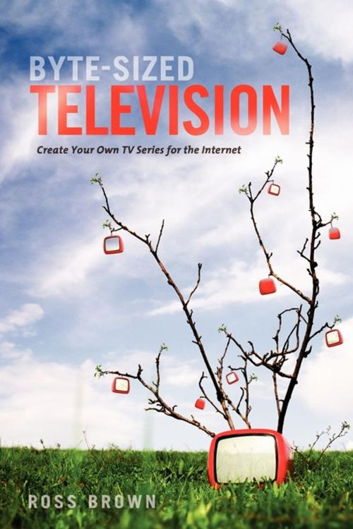 Cover of the book Byte Sized Television by Ross Brown, Michael Wiese Productions