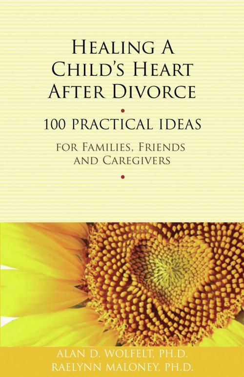 Cover of the book Healing a Child's Heart After Divorce by Alan D. Wolfelt, PhD, Raelynn Maloney, PhD, Companion Press