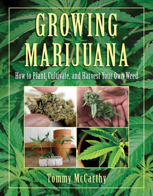 Cover of the book Growing Marijuana by Tommy McCarthy, Skyhorse