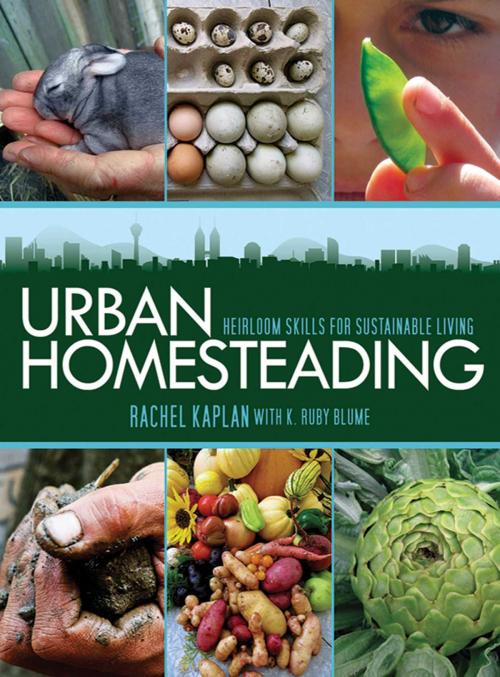 Cover of the book Urban Homesteading by Rachel Kaplan, K. Ruby Blume, Skyhorse