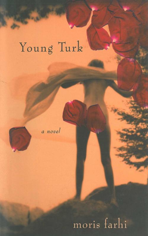 Cover of the book Young Turk: A Novel by Moris Farhi, Arcade