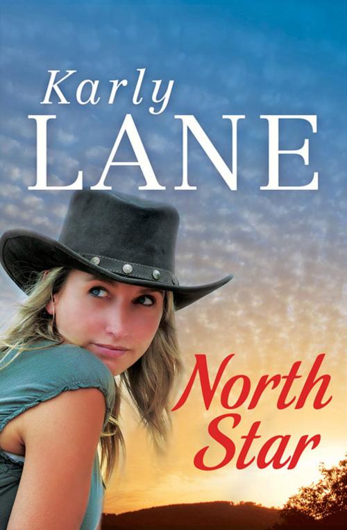 Cover of the book North Star by Karly Lane, Allen & Unwin
