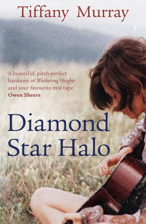 Cover of the book Diamond Star Halo by Tiffany Murray, Granta Publications