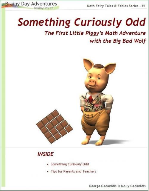 Cover of the book Something Curiously Odd by George Gadanidis, Molly Gadanidis, BrainyDay.ca Publications
