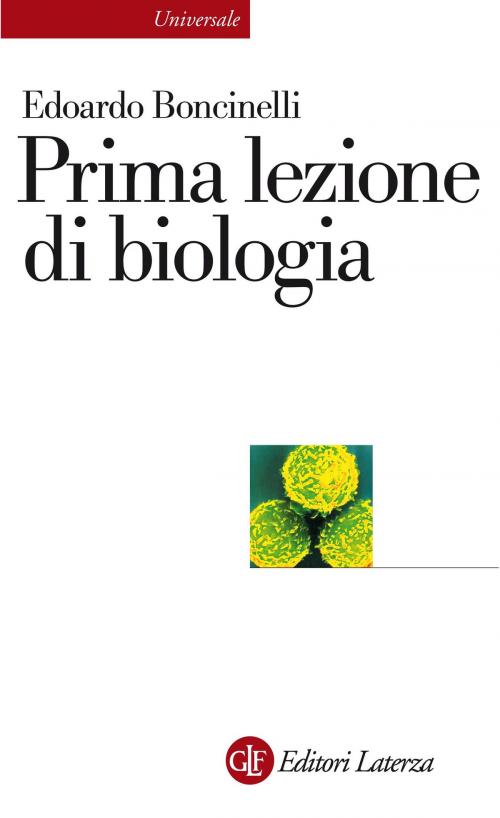 Cover of the book Prima lezione di biologia by Edoardo Boncinelli, Editori Laterza